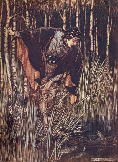 Fiskene rakte i deres glæde hovedet op over vandet og lovede at belønne ham, fra The Fairy Tales of the Brothers Grimm, pub. 1909 af Arthur Rackham