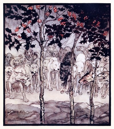 De stod udenfor, fyldt med vildskab og rædsel. fra The Enchanted Cave of Cesh Corran i Irish Fairy Tales af Arthur Rackham