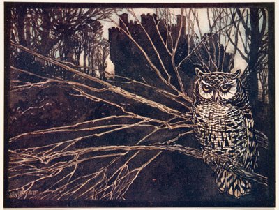 ? eller en skrigende ugle.., fra The Fairy Tales of the Brothers Grimm, pub. 1909 af Arthur Rackham