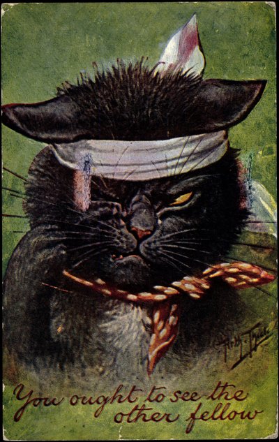 Cat, du skulle se den anden fyr af Arthur Thiele