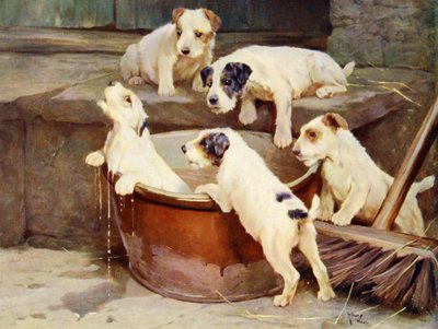 The Order of the Bath - puppies washingdani af Arthur Twidle