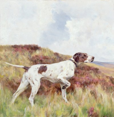 En pointer (olie om bord) af Arthur Wardle