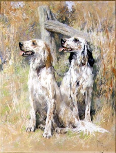 Engelske Settere af en Stile af Arthur Wardle