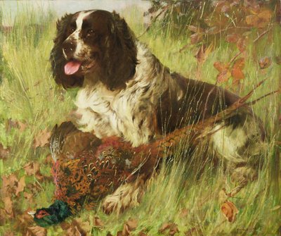 Springer Spaniel med Fasan af Arthur Wardle
