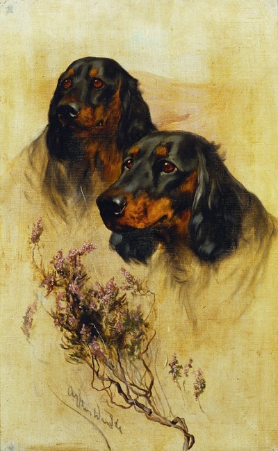 To Gordon Setters (olie på lærred) af Arthur Wardle