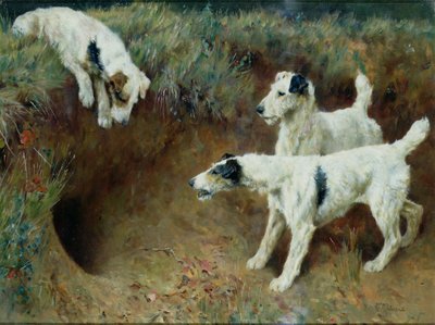 Trådhårede foxterriere af et grævlingsæt af Arthur Wardle