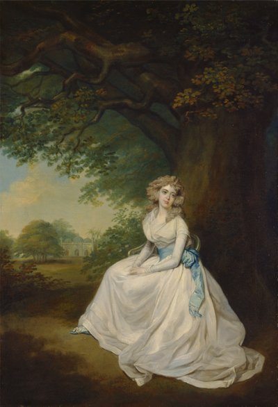Lady Chambers af Arthur William Devis