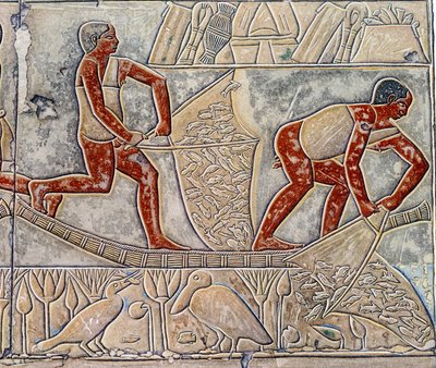 Egyptisk kunst: fiskeri ved udmattelsen. Kollegiet ligner Mererukas mastaba. af Artist Unknown
