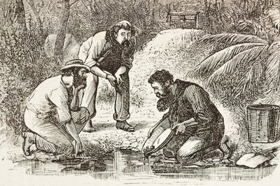 Australien (1880). Guldgravernes liv i Botany Bay (grundlagt i 1788). Gravering. Privat samling af Artist Unknown