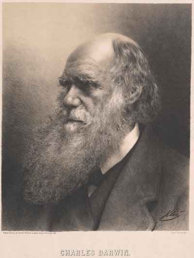 Charles Darwin af Artist Unknown