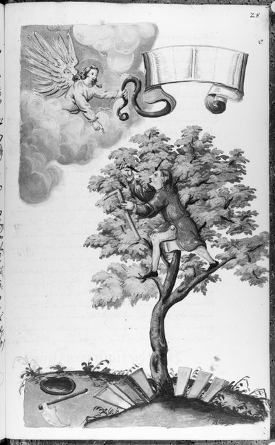 Folio 28 codex 11134 af Artist Unknown