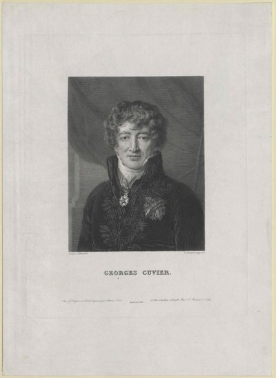 Georg Cuvier (tryk) af Artist Unknown