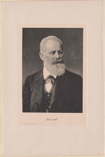 Hermann Nothnagel (print) af Artist Unknown