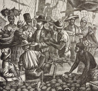 Englands historie (C19th). Kolonisering (1880). Bahama sælger ananas. Engelsk koloni på New Providence Island. Ananas var et af de vigtigste eksportprodukter fra havnen i Nassau. Gravering. Privat samling af Artist Unknown