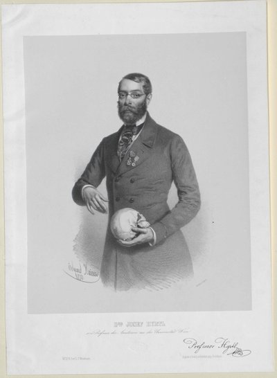 Joseph Hyrtl af Artist Unknown