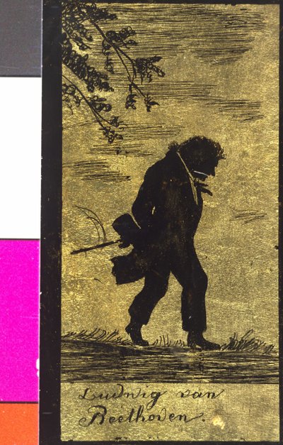 Ludwig van Beethoven af Artist Unknown