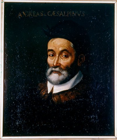 Portræt af Andrea CESALPINO af Artist Unknown