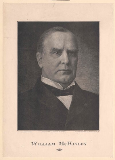 William MacKinley af Artist Unknown