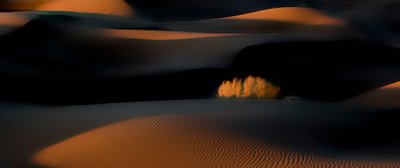 Ørkenklitter i den gyldne time af Asef Azimaie