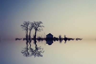 Fredfyldt vandrefleksion af Asef Azimaie
