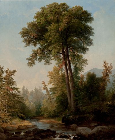 En naturlig monark af Asher Brown Durand