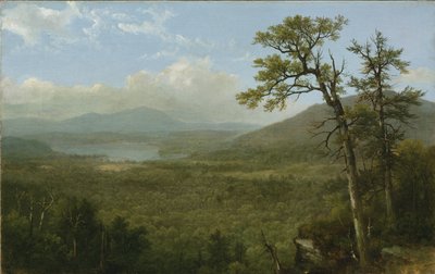 Adirondack Mountains, N.Y., 1870 af Asher Brown Durand