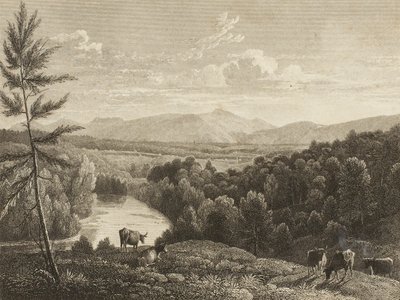 Catskill-bjergene af Asher Brown Durand