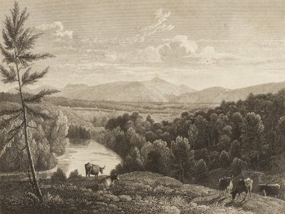 Catskill-bjergene af Asher Brown Durand