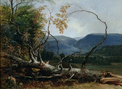 Stratton Notch, Vermont af Asher Brown Durand
