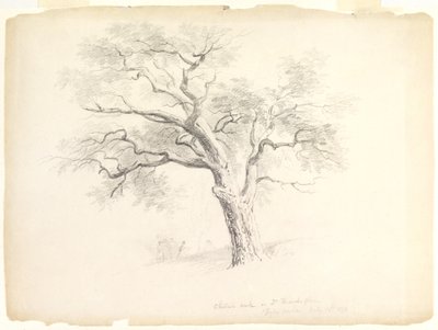 The Chestnut Oak på Hosack Estate, Hyde Park, New York med fem figurer og en kunstnerskitser, 1838 (grafit på papir) af Asher Brown Durand