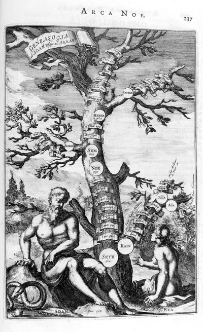 Adams slægtstræ, 1675. af Athanasius Kircher