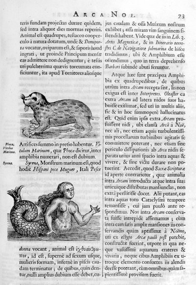 Mytiske skabninger, 1675. af Athanasius Kircher