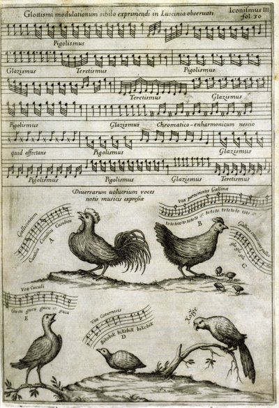 Sangen udsendt af visse flygtige stoffer udtrykt ved musikalske noder efter: "Musurgia Universalis" af Athanasius Kircher af Athanasius Kircher