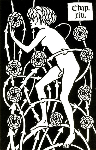 hermafrodit blandt roserne fra Le morte d
