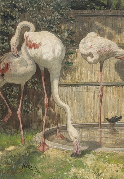 Tre flamingoer ved en vandpøl. 1872 af August Allebe