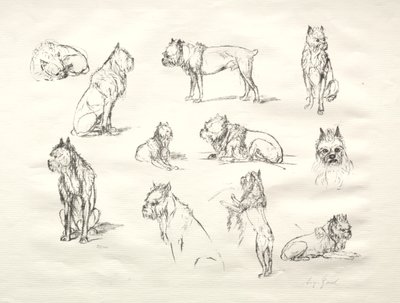 Undersøgelse af hunde af August Gaul