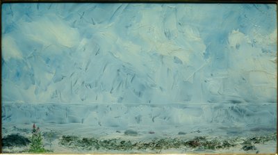 Blomster på stranden af August Johan Strindberg