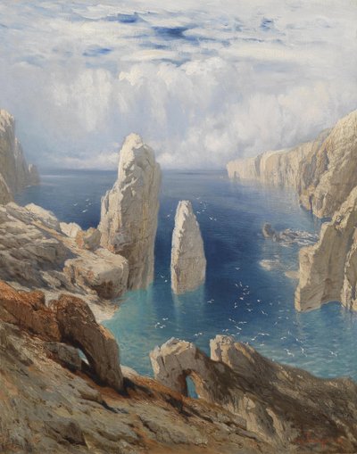 Stejl kyst af August Schaeffer von Wienwald