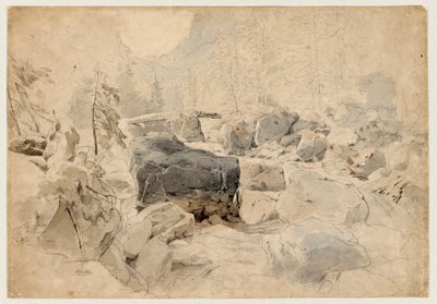 Gebirgsbach af August Seidel