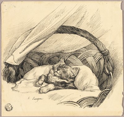 Kat sover i kurv af Auguste Andre Lancon