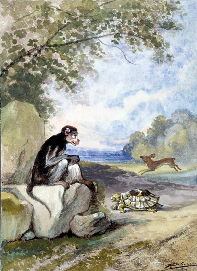 Illustration af fablen "Haren og skildpadden"" af Jean de La Fontaine. Akvarel af Auguste Delierre (1829-c.1890) af Auguste Delierre