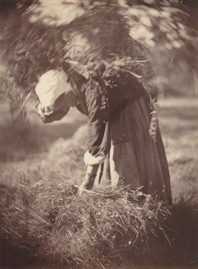 Bonde, ca. 1870. af Auguste Giraudon