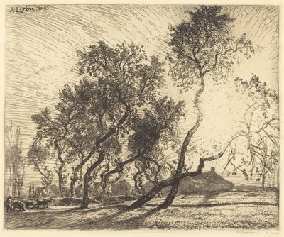 Holland Poplar Farm af Auguste Lepere