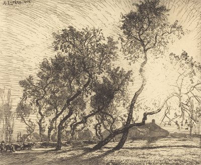 Den hollandske poppelfarm, 1914. af Auguste Lepere
