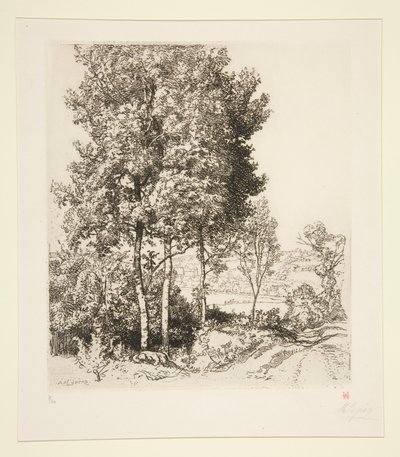Petit Morin Valley nær Verdelot (Seine-et-Marne) (Lille Morin Valley nær Verdelot [Seine-et-Marne]) af Auguste Lepere