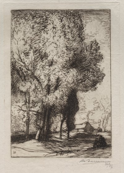 Bourrine in the Poplars, 1911. af Auguste Louis Lepère
