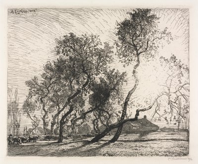 Gård med poppeltræer i Holland af Auguste Louis Lepère