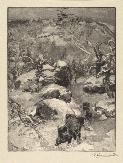 Fontainebleau Skov: Cuvier-Châtillon Cliff af Auguste Louis Lepère