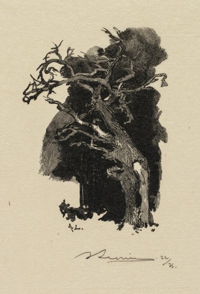 Fontainebleau Forest: The Raging One af Auguste Louis Lepère