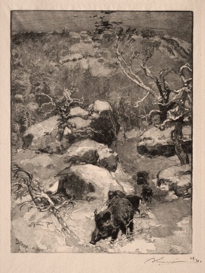 Roche Cuvier Chatillon, 1887. af Auguste Louis Lepère